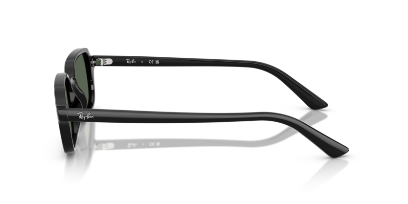 Ray-Ban RB4455 667771 - Lateral esquerda