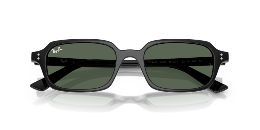 Ray-Ban RB4455 667771 - Rosto