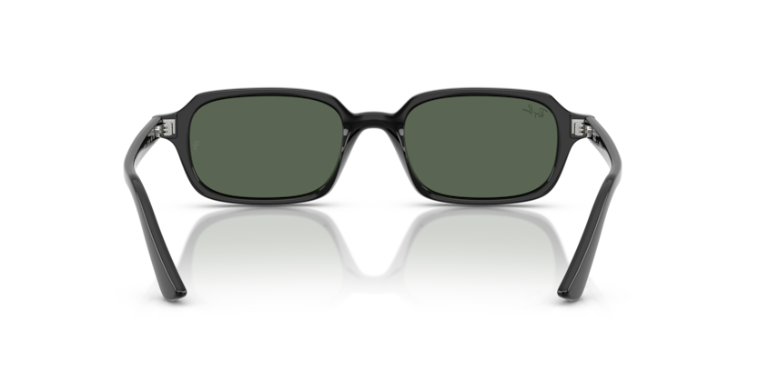 Ray-Ban RB4455 667771 - Traseira