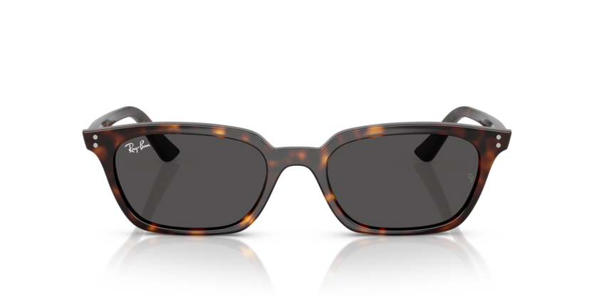 Ray-Ban RB4456 135987