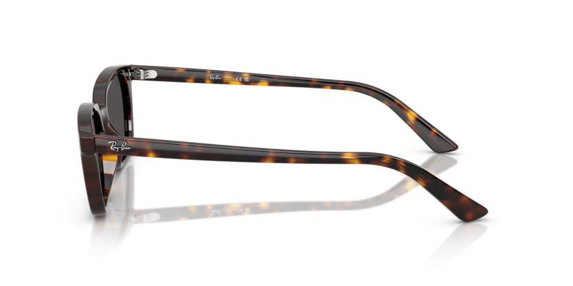 Ray-Ban RB4456 135987 - Lateral esquerda