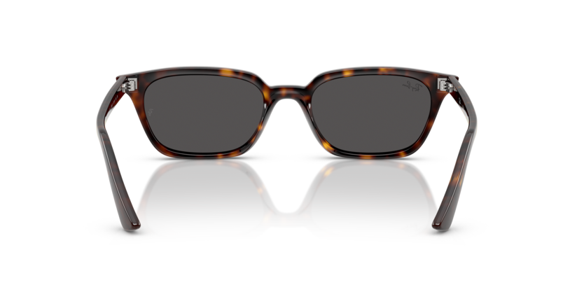 Ray-Ban RB4456 135987 - Traseira